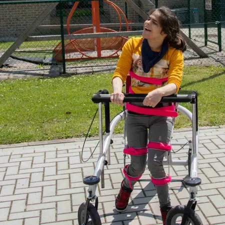 Verstandelijke beperking