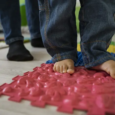 Steunzolen & SMO’s