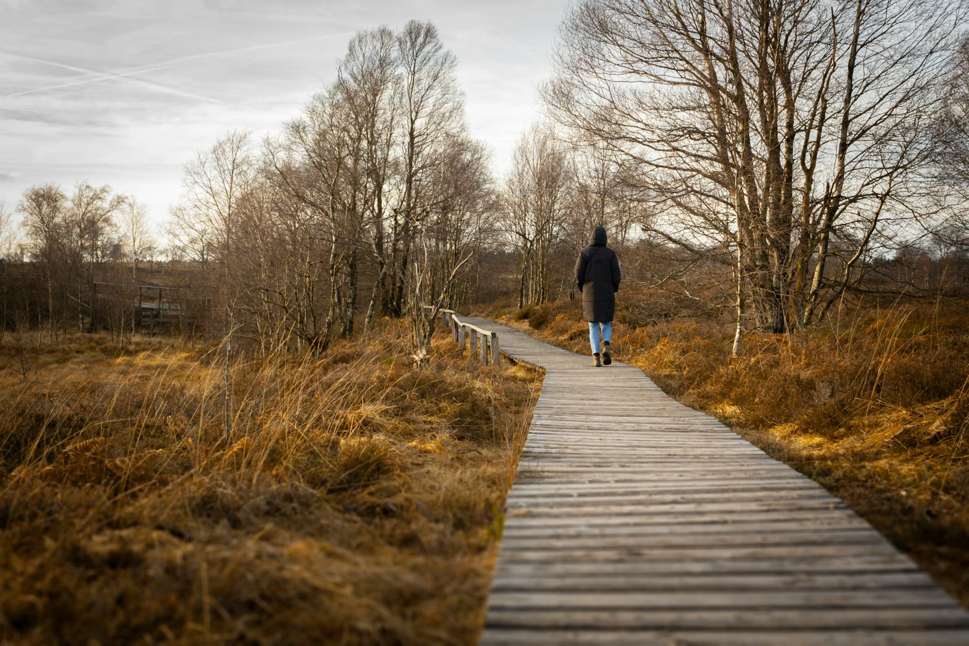 Vrouw aan het wandelen in bos in de herfst met capuchon op